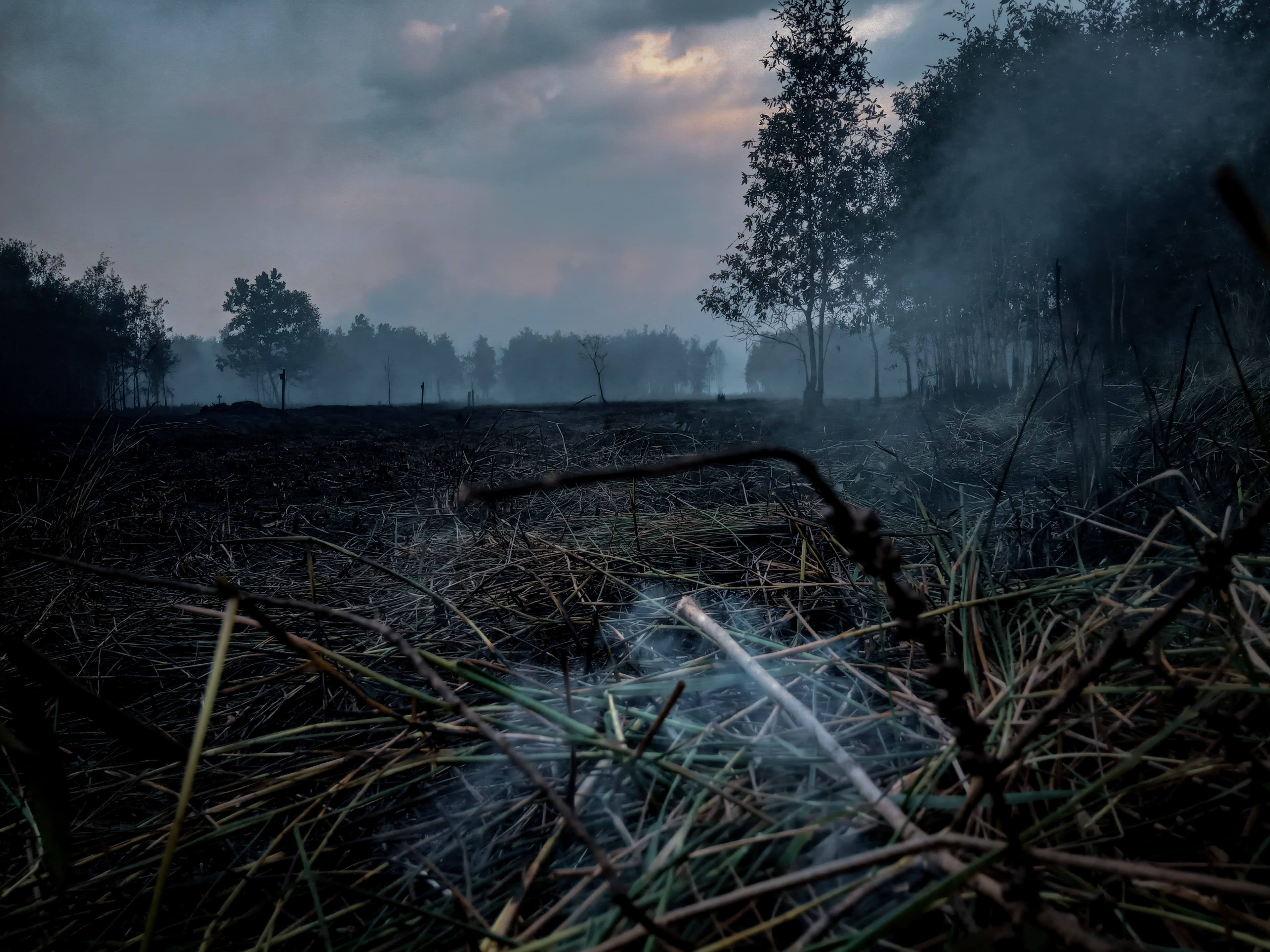 Peatland forest fires, Borneo, Indonesia