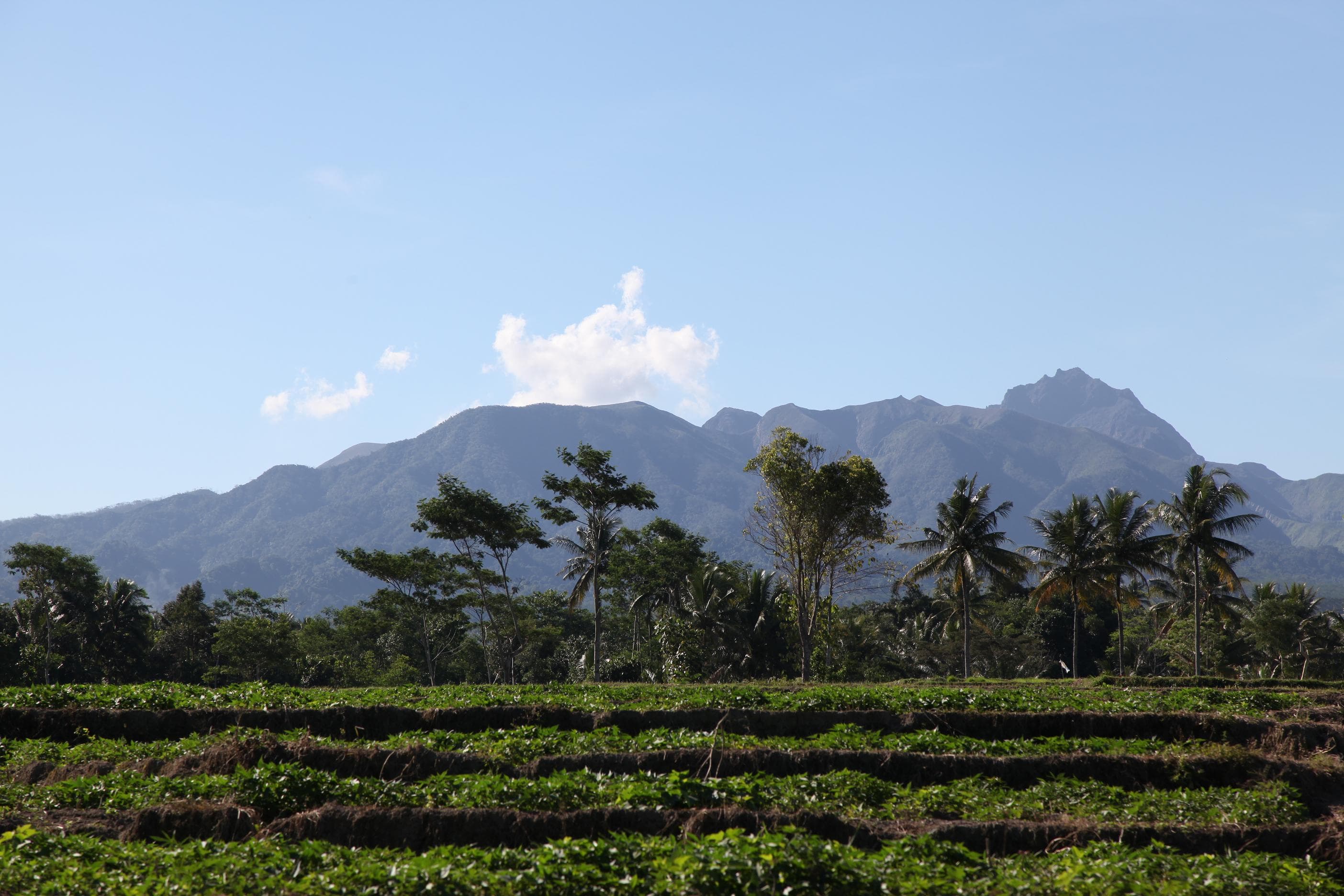 Gunung Kelud (Kelud Mount)