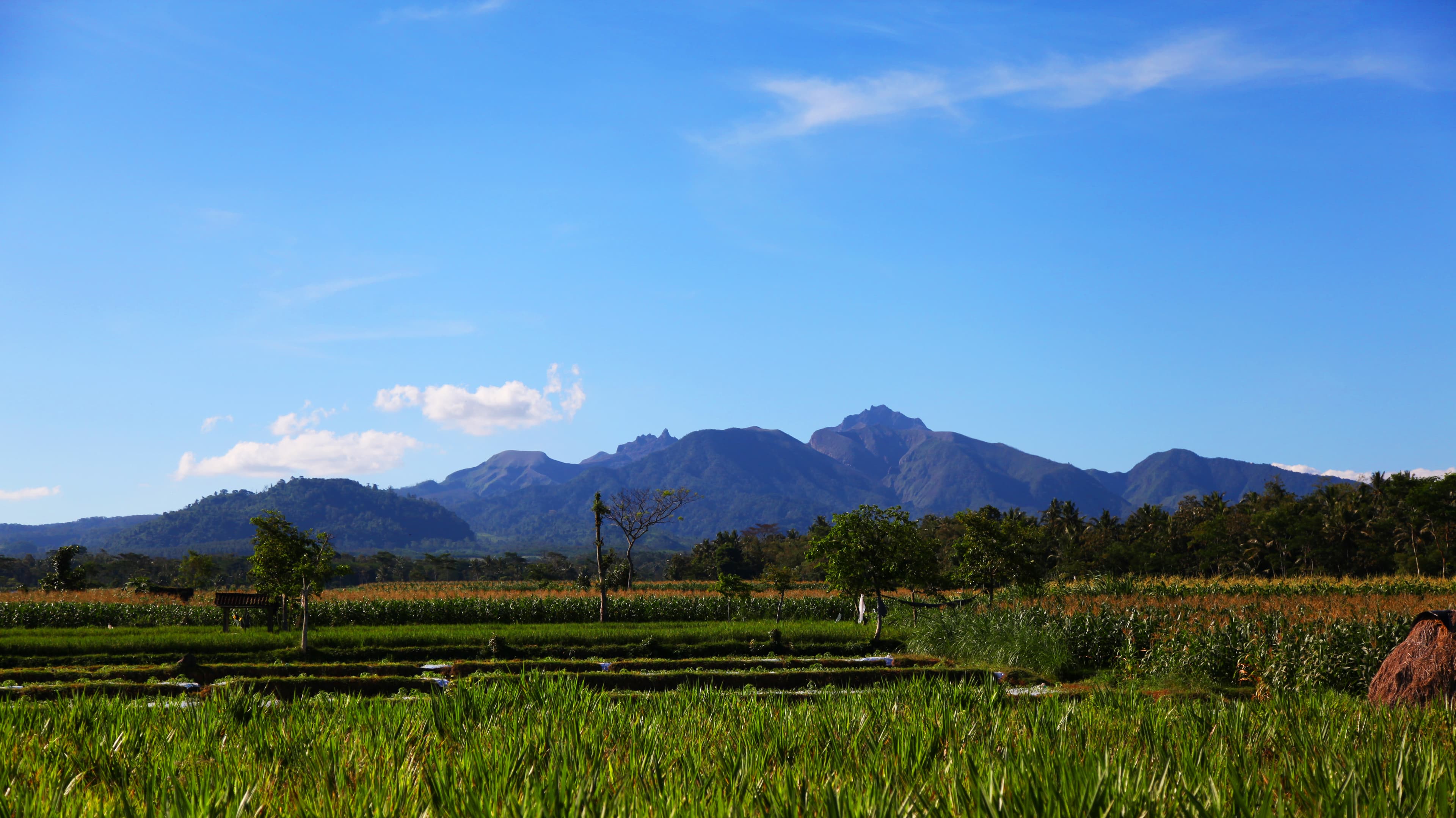 Gunung Kelud (Kelud Mountain)