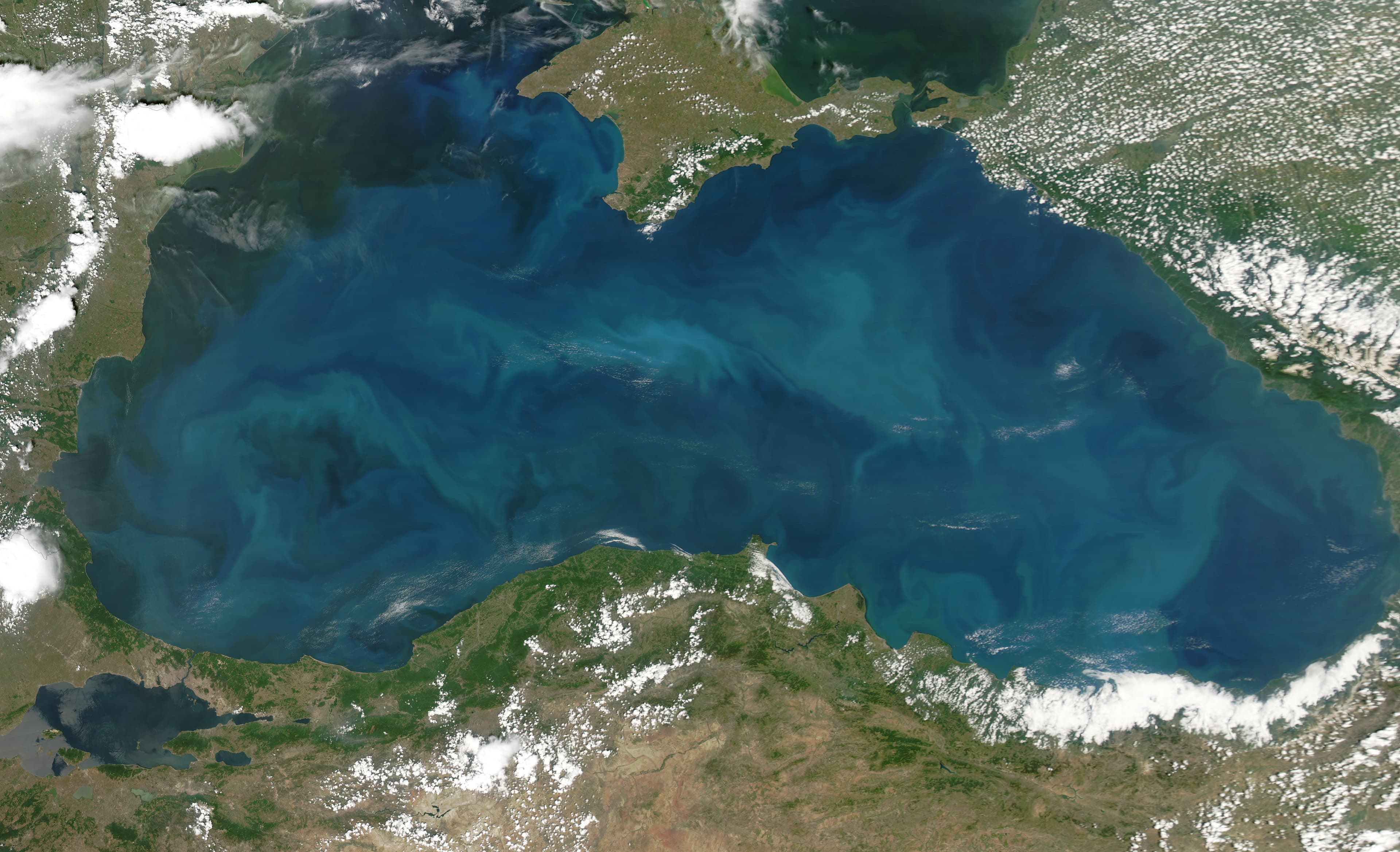 Citra satelit ledakan fitoplankton berwarna pirus di Laut Hitam