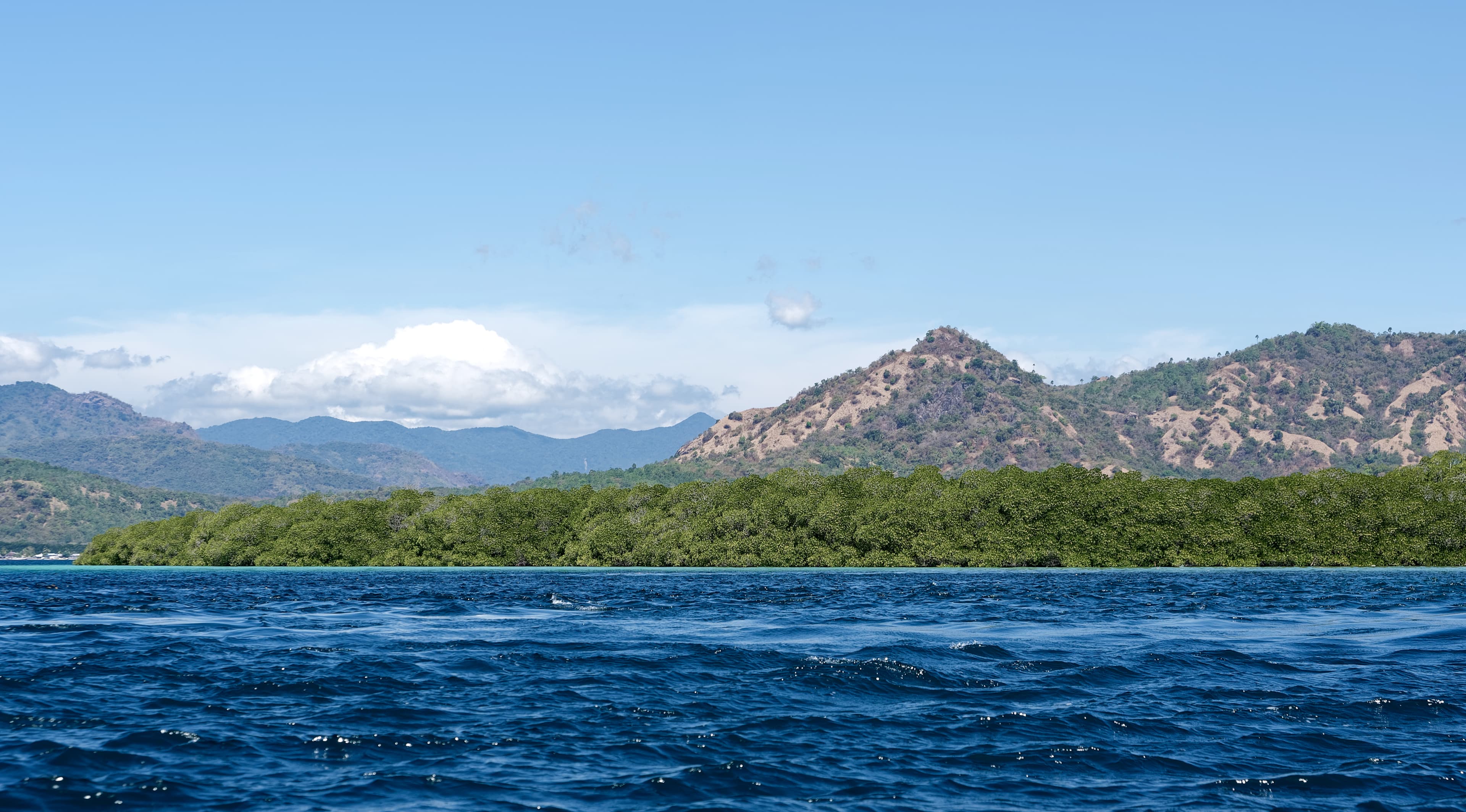 Mangrove forest on Koabe Island in Komodo National Park, Indonesia