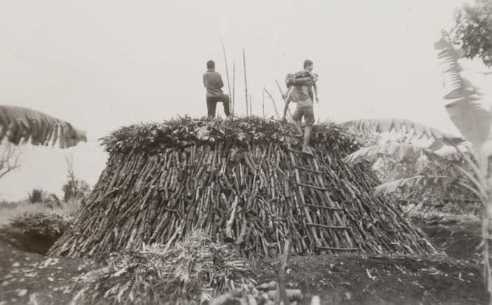 Foto. Houtskoolbranderij Tjikiperan, omgeving Segara Anakan (Kinderzee)
