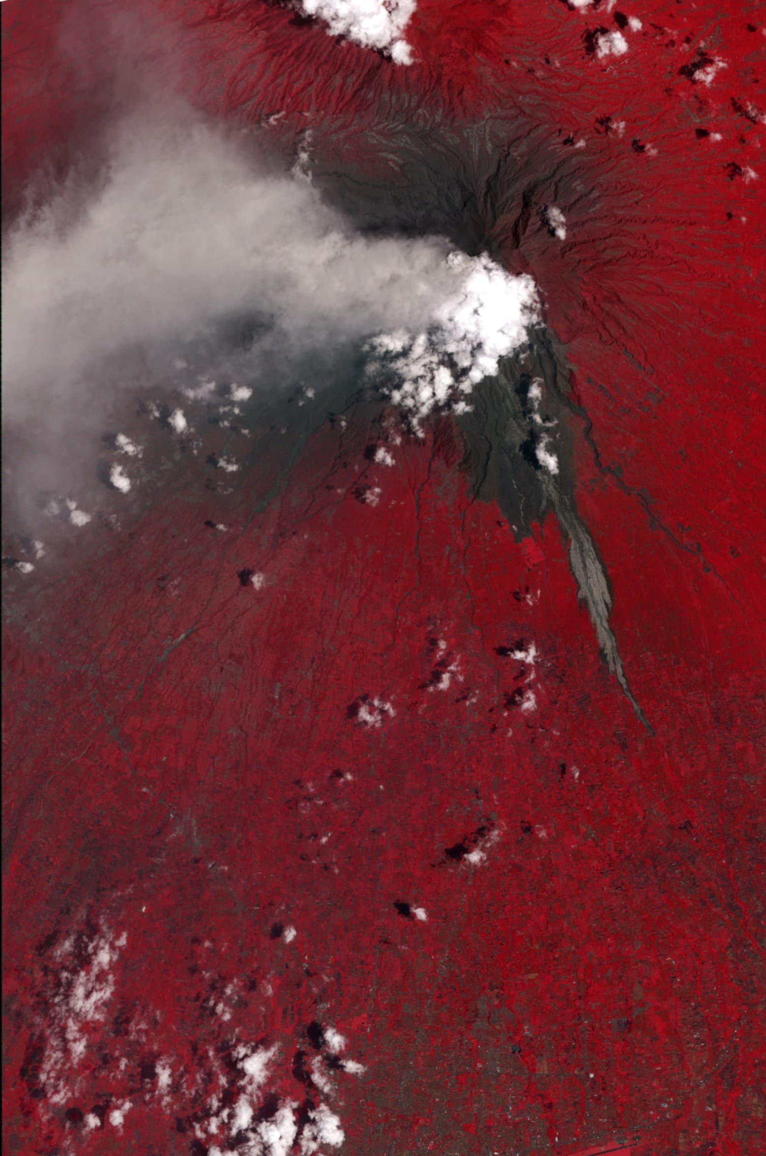 This false-color satellite image shows evidence of a large pyroclastic flow along the Gendol River south of Mount Merapi. Light gray volcanic deposits