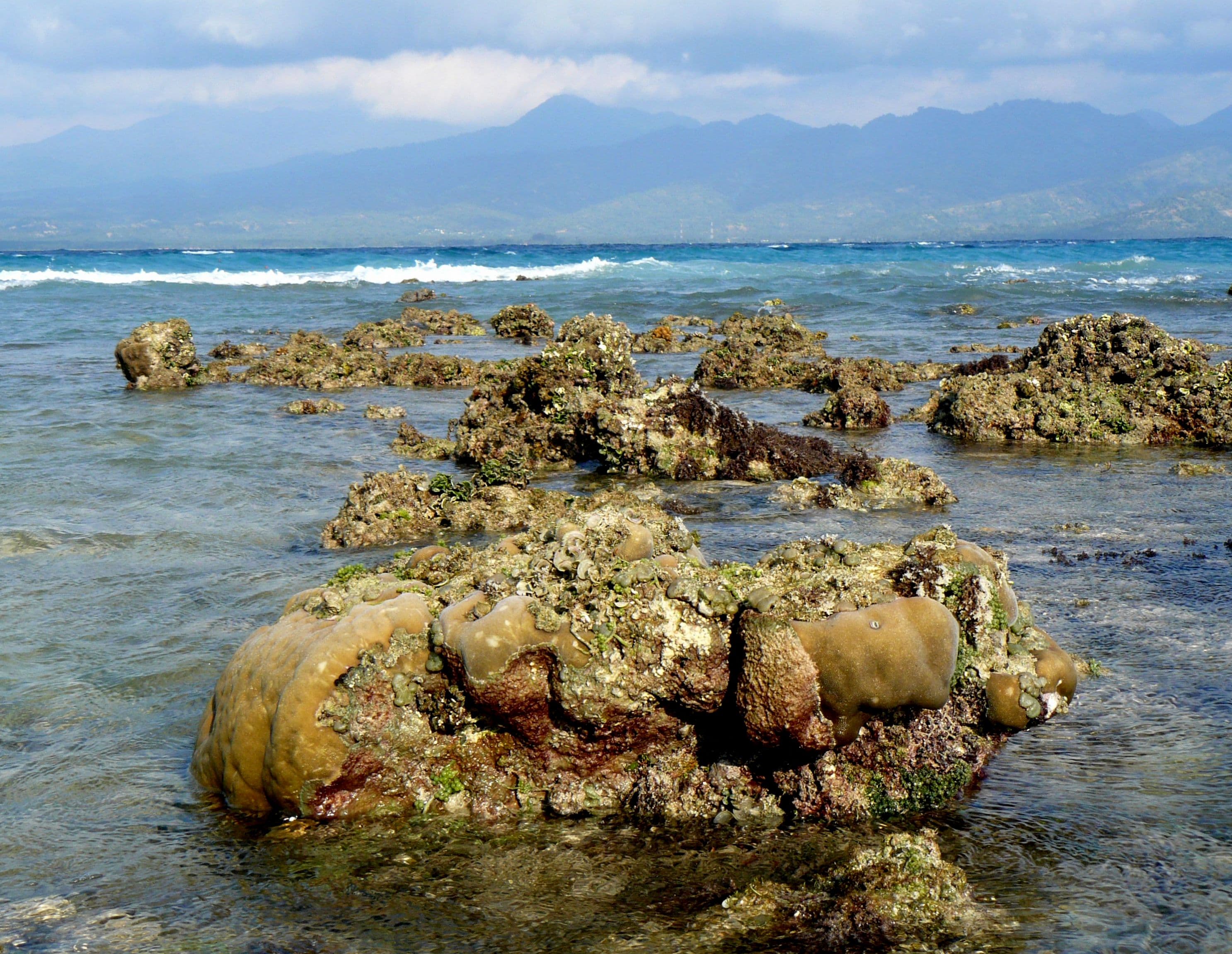 Exposed Coral Reef, Gili Meno, Indonesia