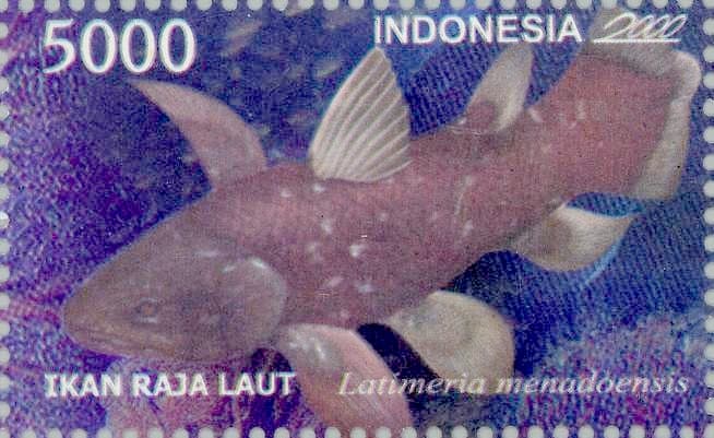 Latimeria menadoensis